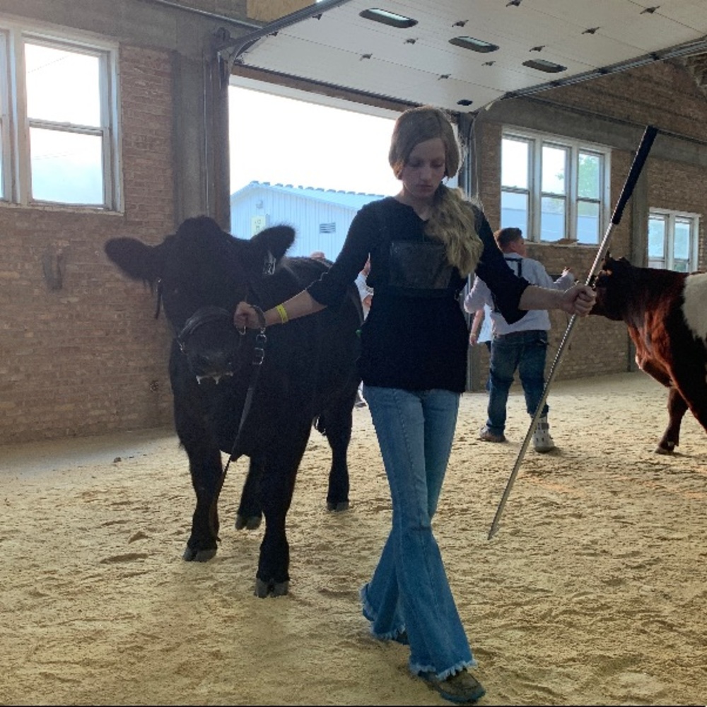 Meet your Posher, Emma